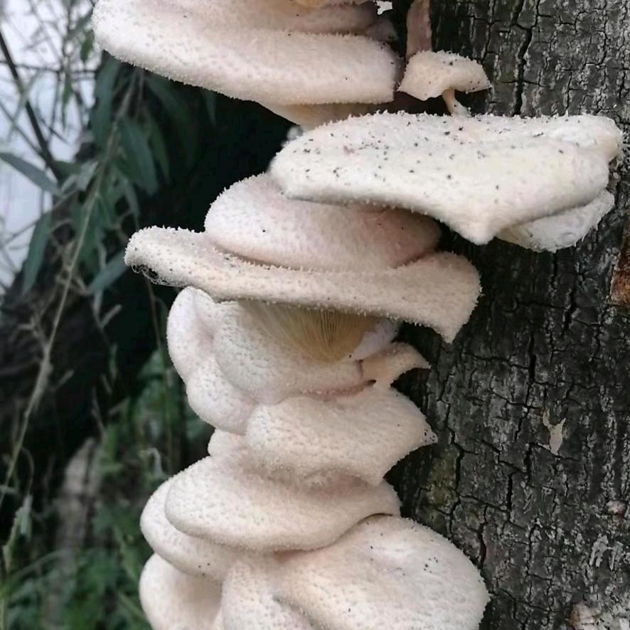 没有完美的人生