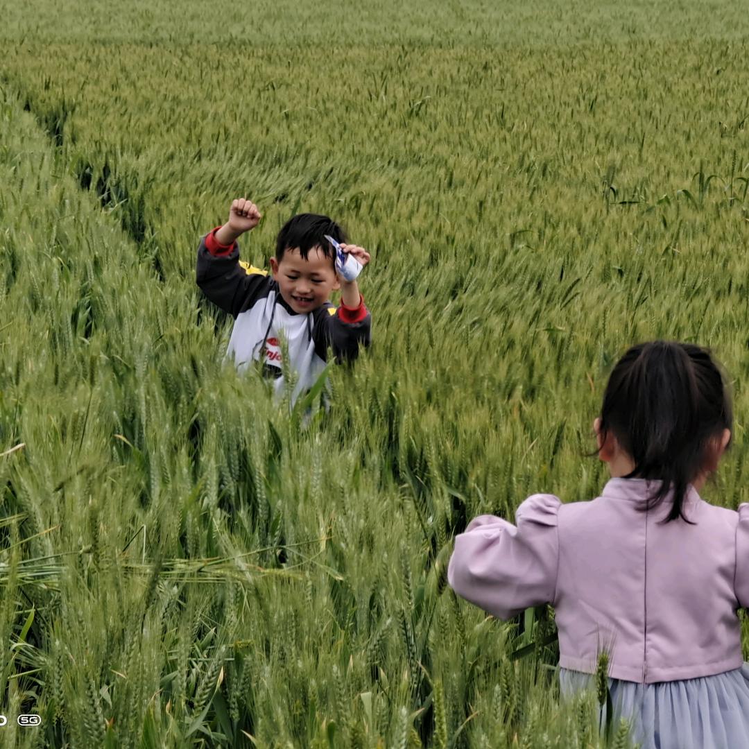 经纬良田