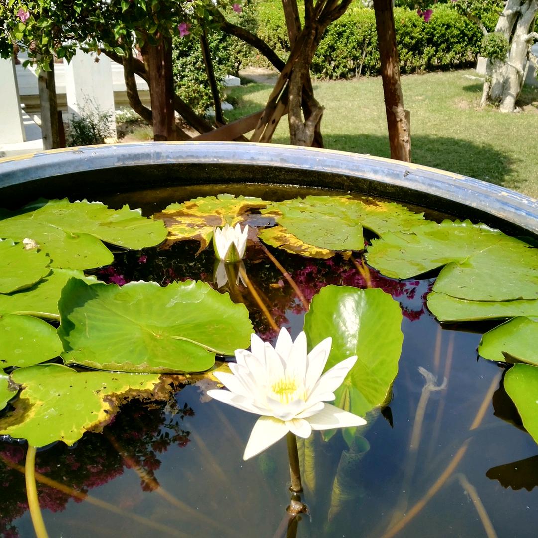 魏世萍：惠通农化
