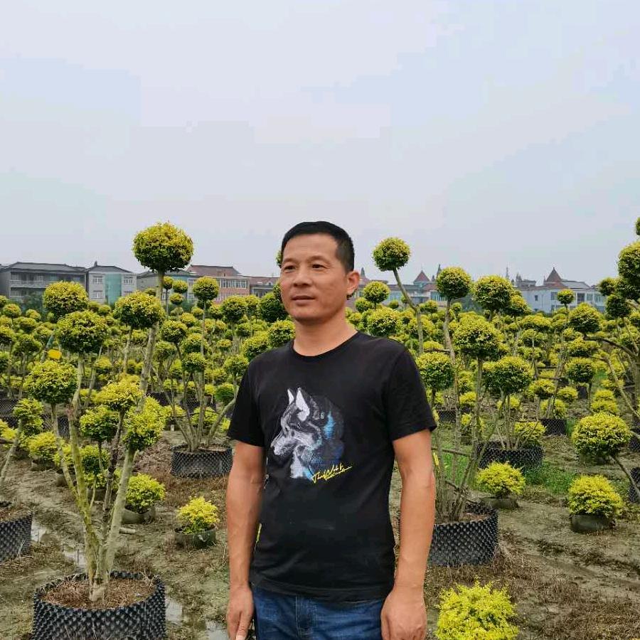 杭州萧山新街小龙园艺场