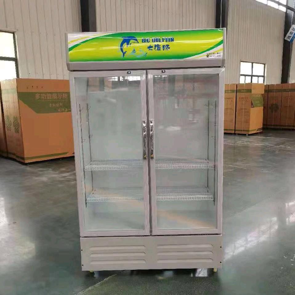 青岛大海豚🐬商用冷柜厨房设备