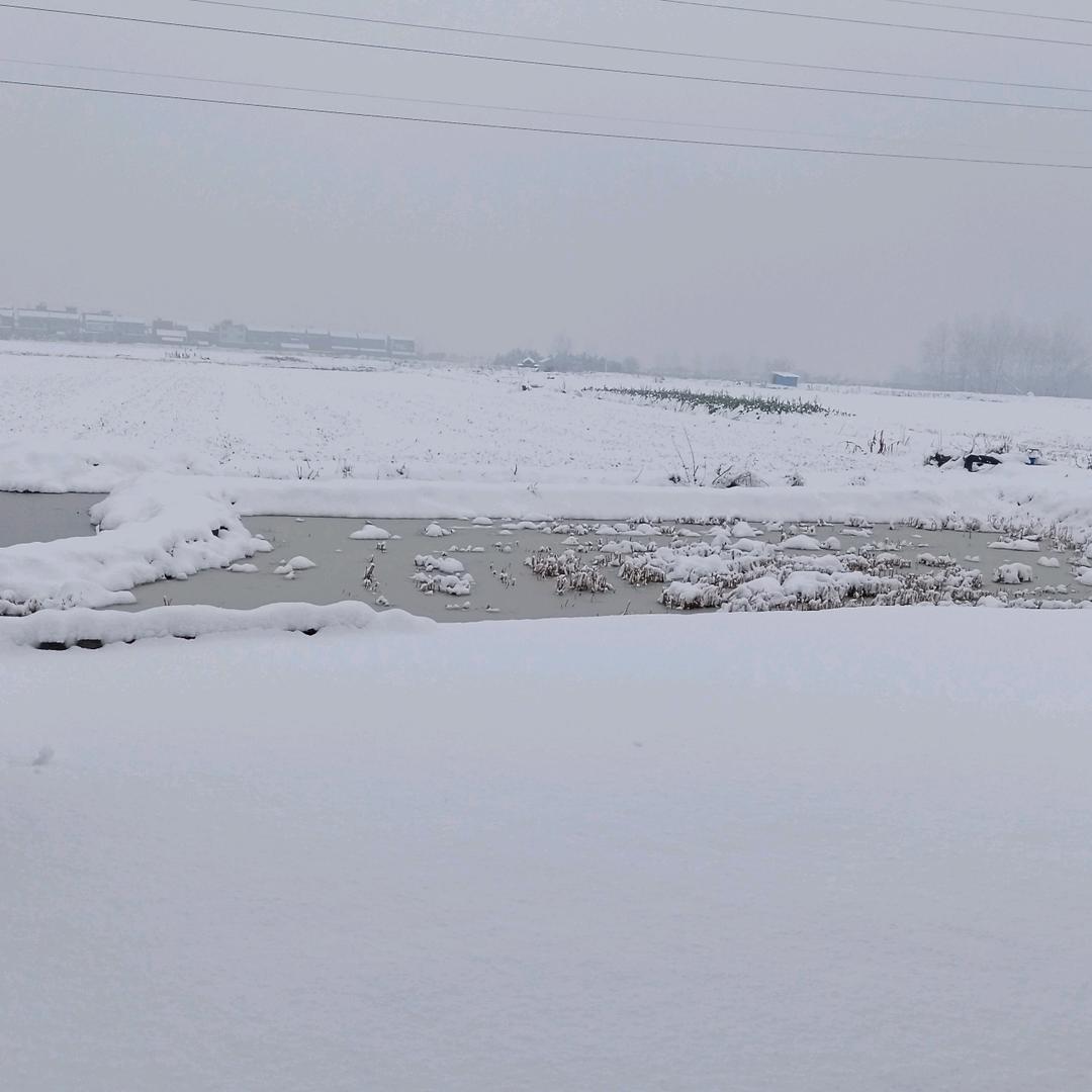火火