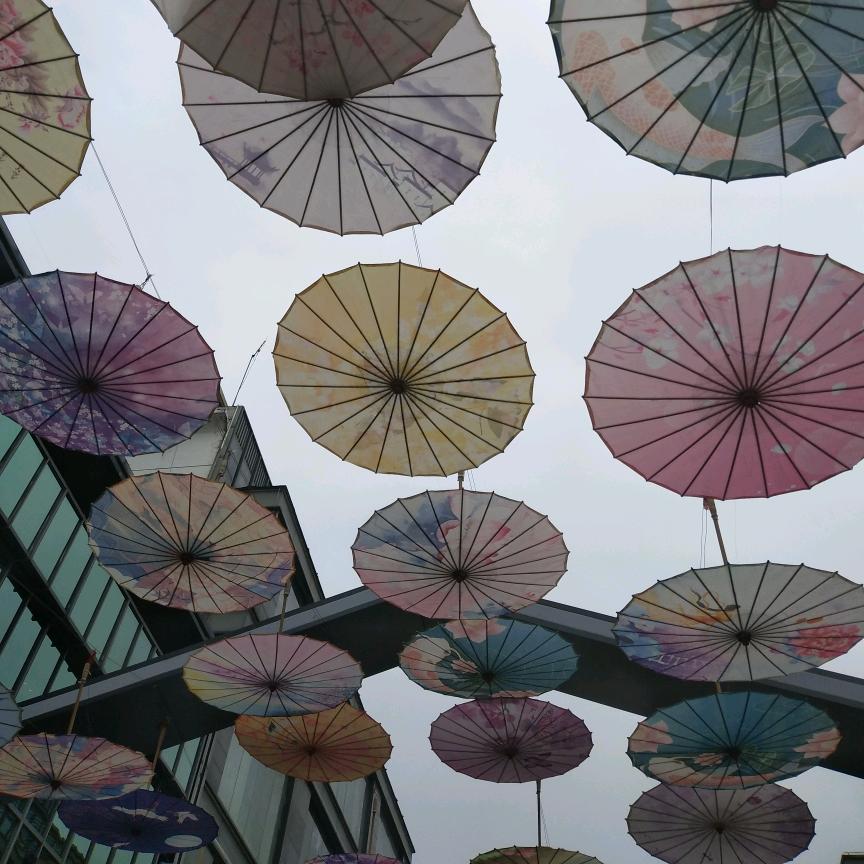 天下道理一箩筐