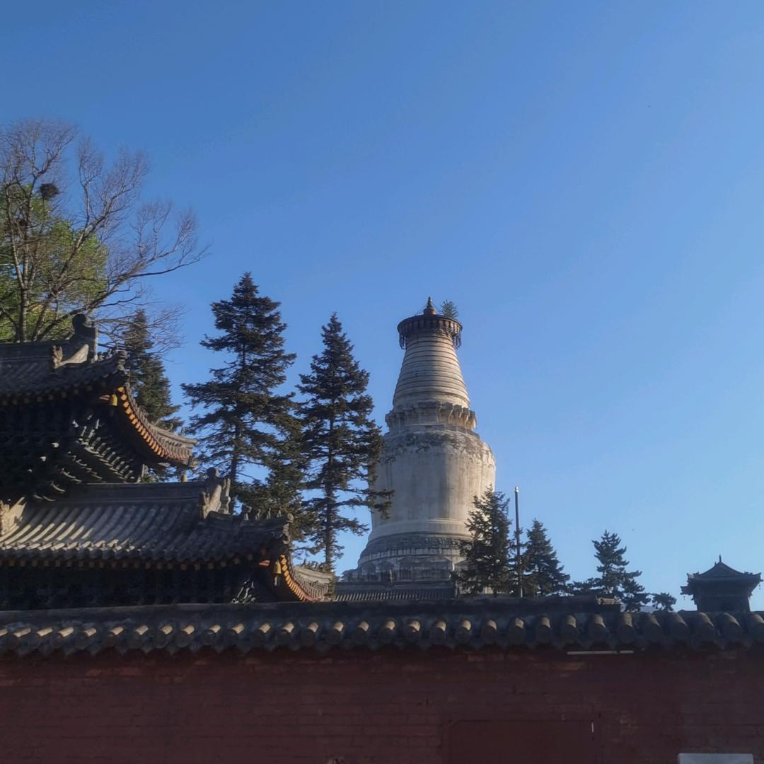 五台山小张居士