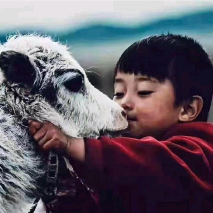 ༄༅རིགས་