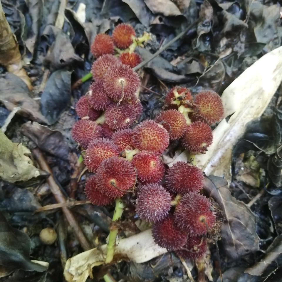 春湾仔（水电家装工）68920