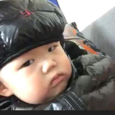 夜来风雨皆无声