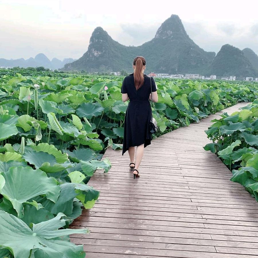 不言不语