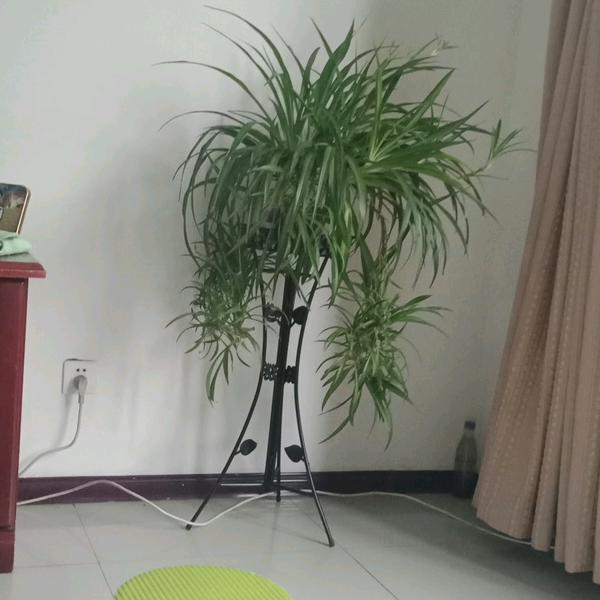 家和万事兴