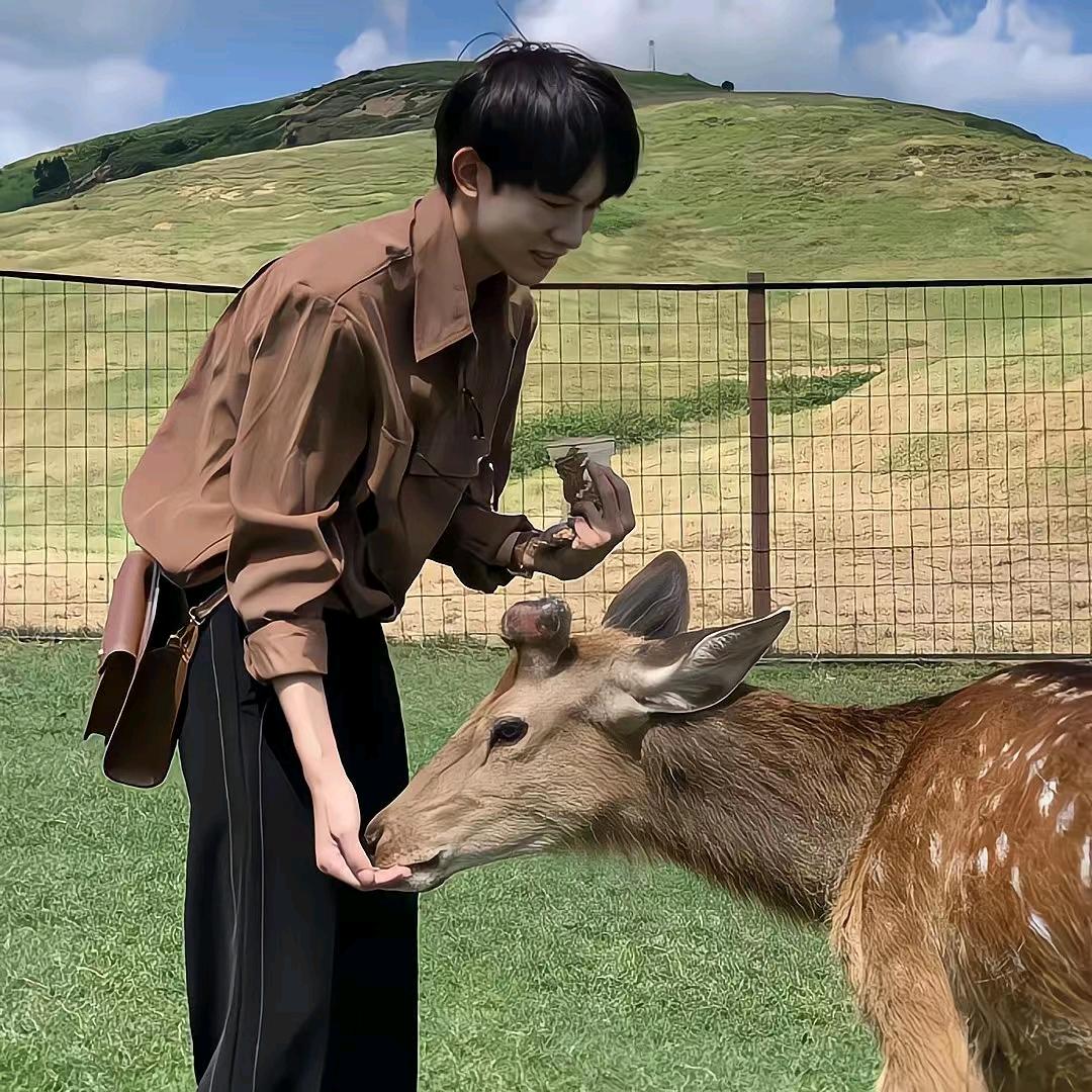 耀眼的光芒