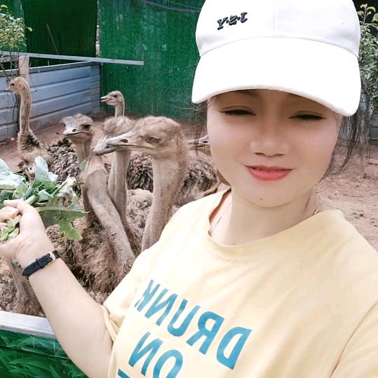 谢孃孃的私人订制（依海岸)