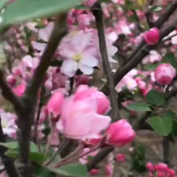 一帆风顺，小郭高价废车回收