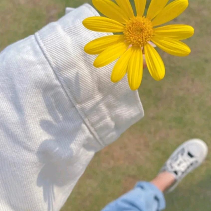 @丽