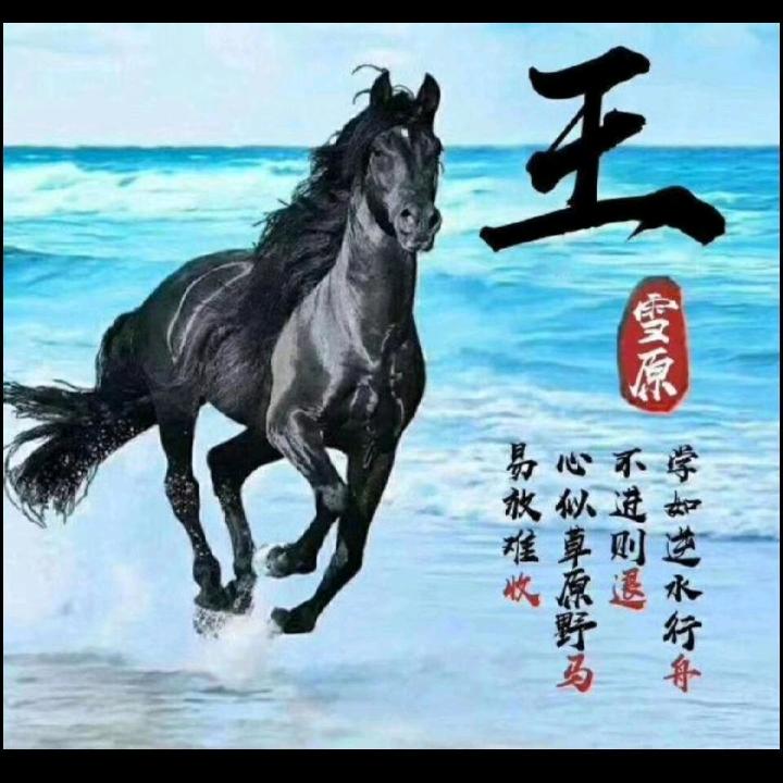 幸福人生(御守)