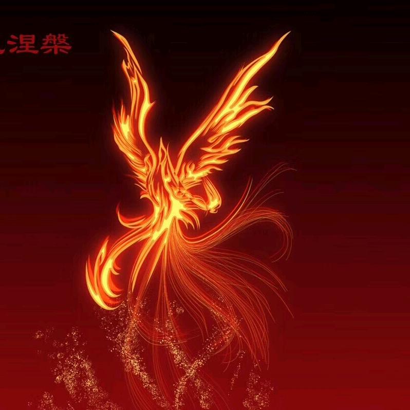 周帅武