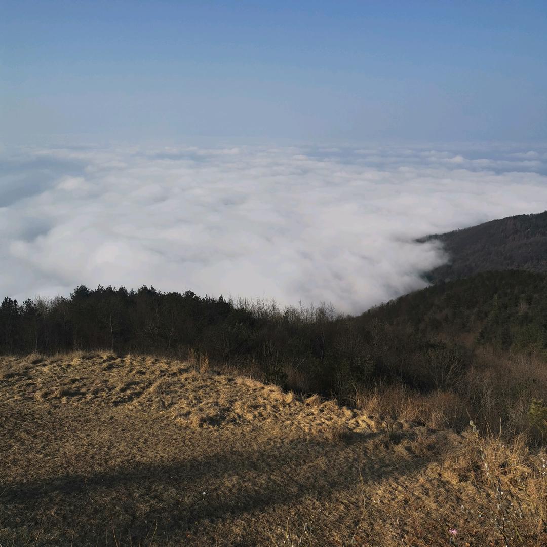 @风中的云☁️☁️☁️⚡️⚡️⚡️