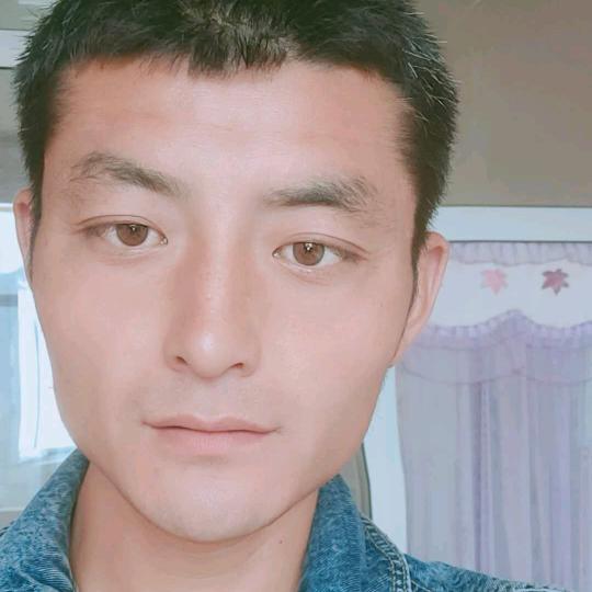 臧天高
