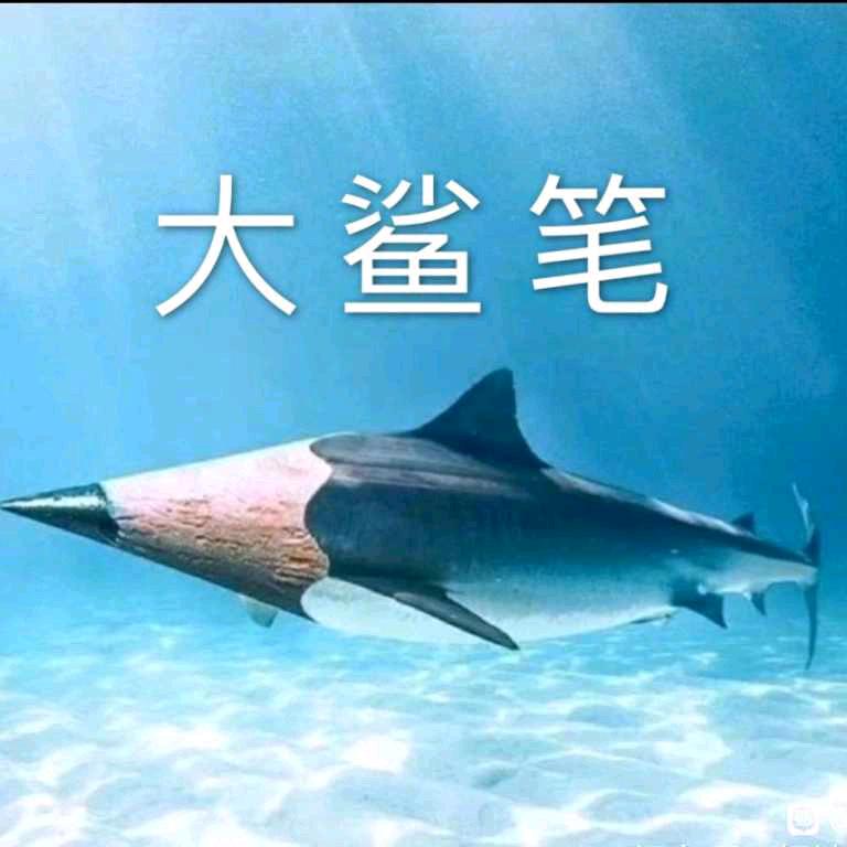 用户4771200574888