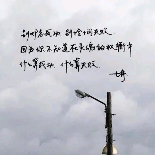 醉挽清风