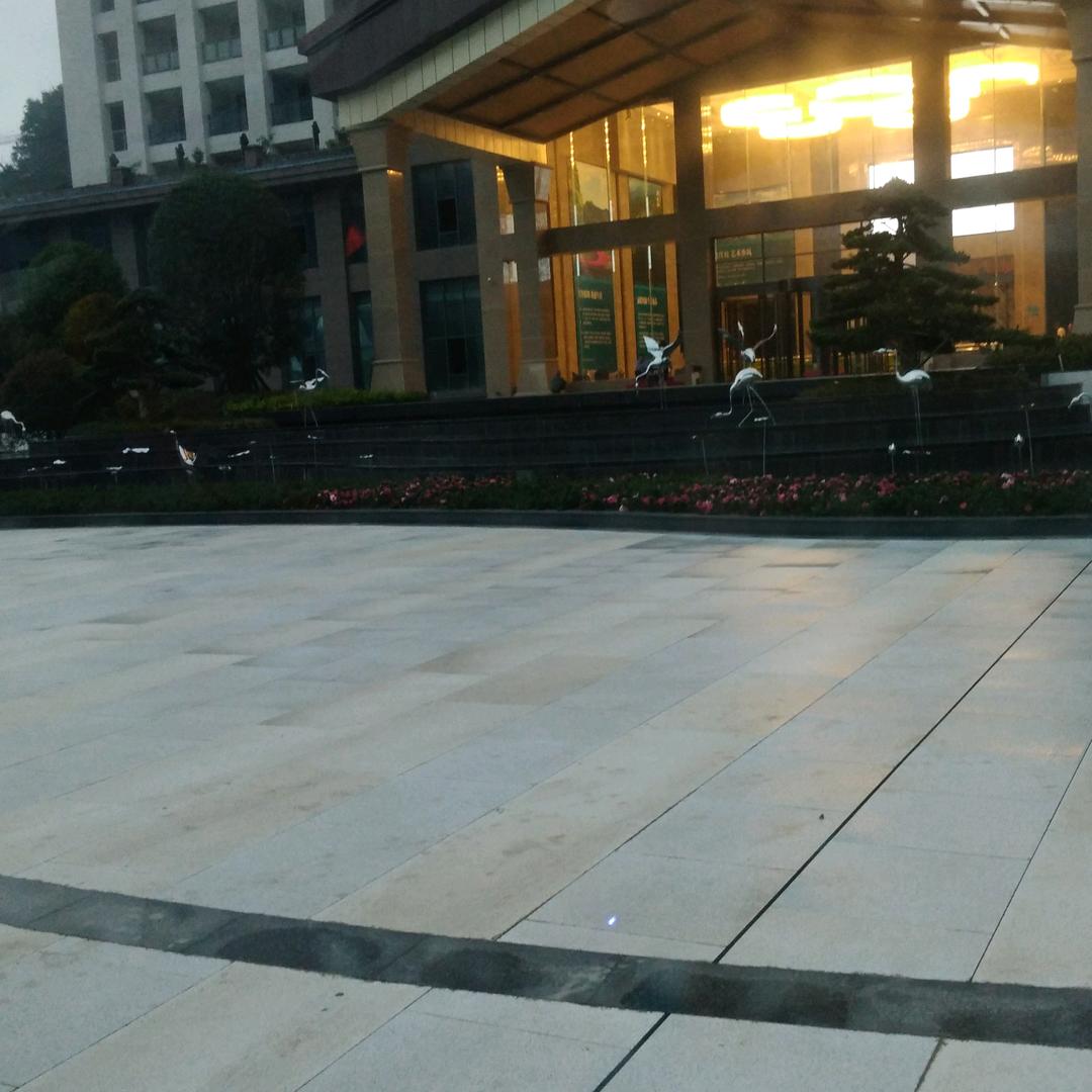 木兰花开