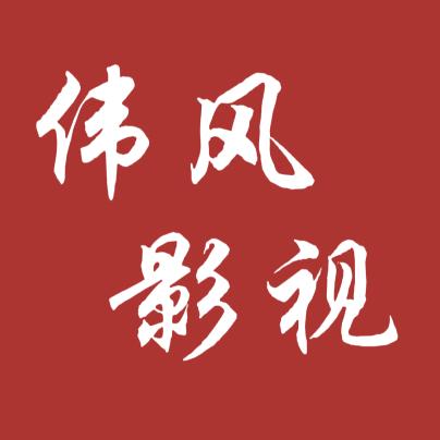 伟风影视