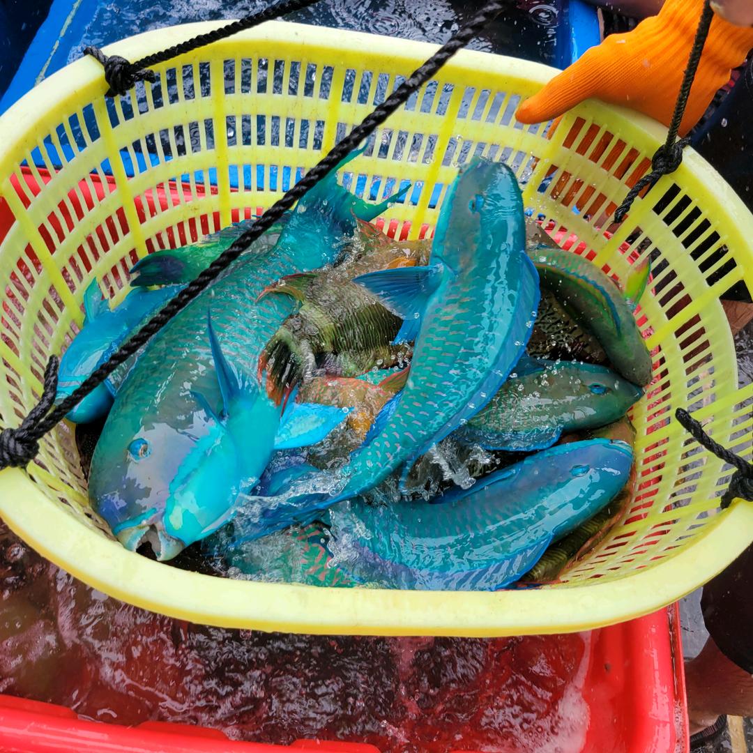 西沙海洋渔夫