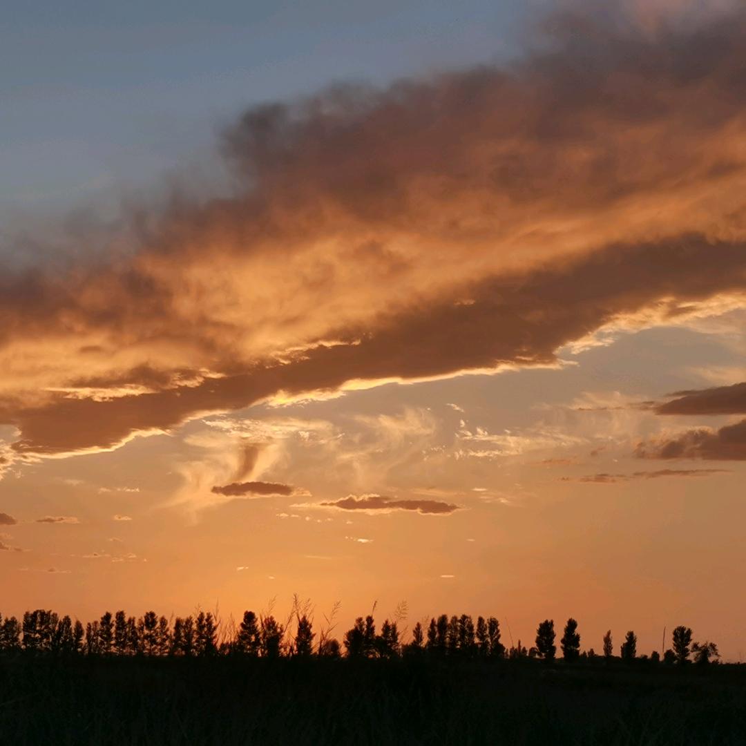 青春已去尽沧桑