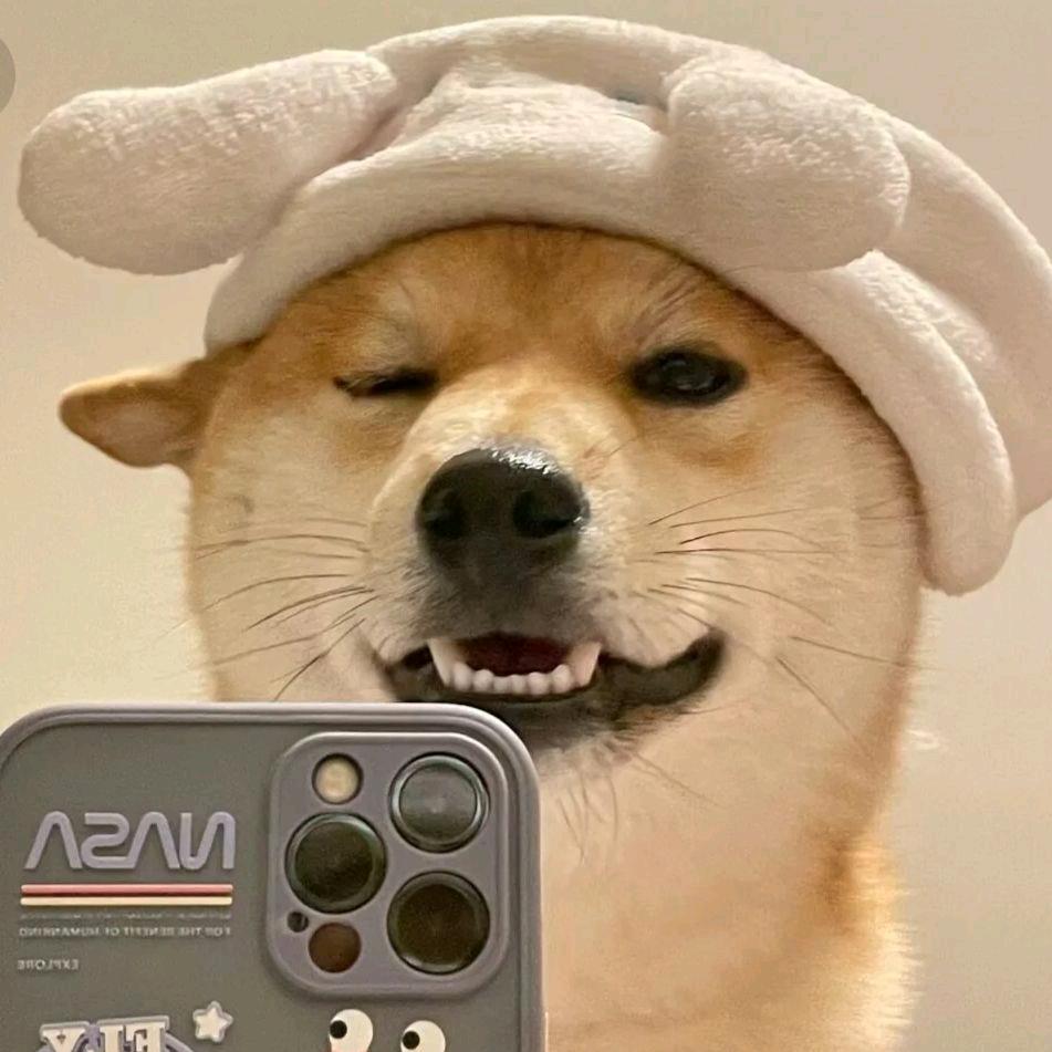 修狗的艺术日常