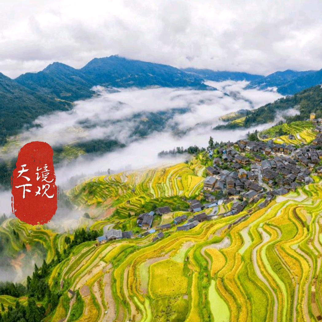 镜观天下