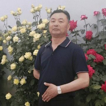 孝感杨保新