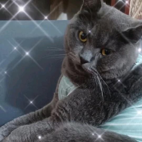 ღ᭄ꦿℒℴѵℯ.归零এ