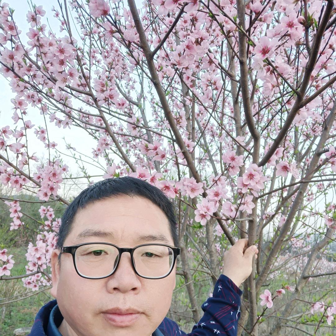 无怨无悔