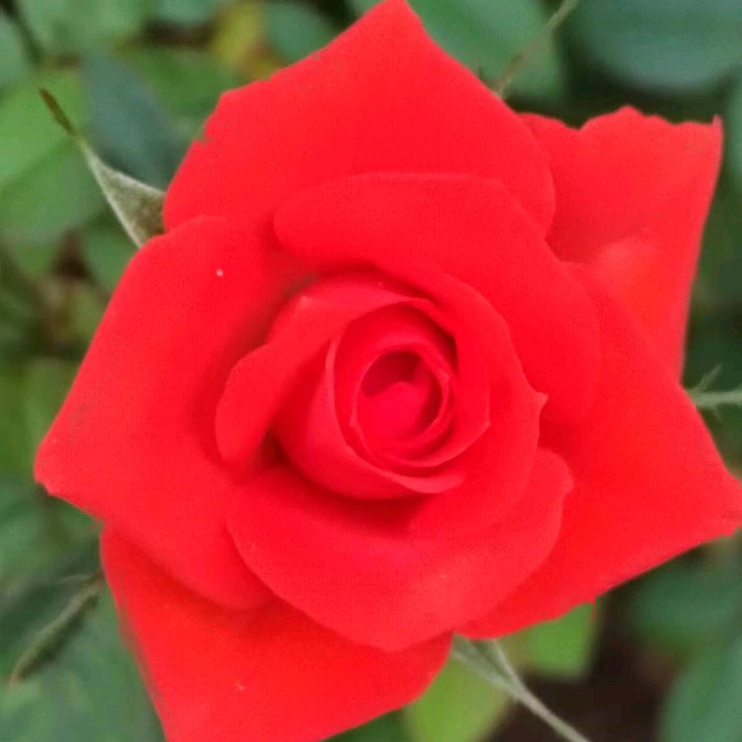 🕊᭄᭄吕꧔ꦿᩚ途🍒有你💕࿐