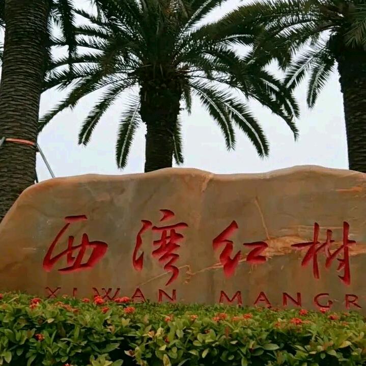 弄丢了你我心痛