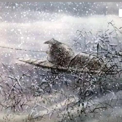 《独～钓～寒～江～雪》