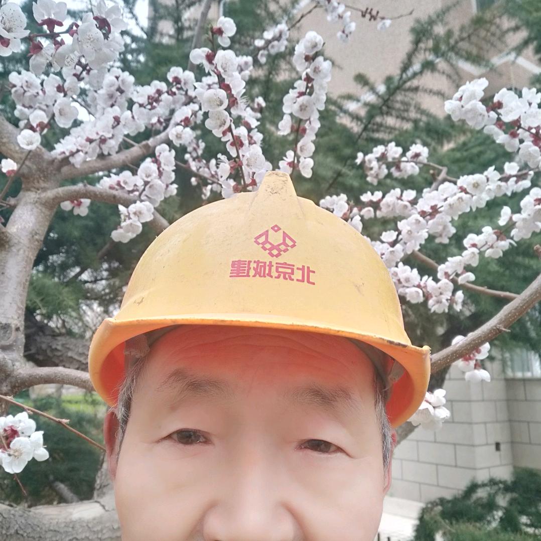 天天开心心想事成