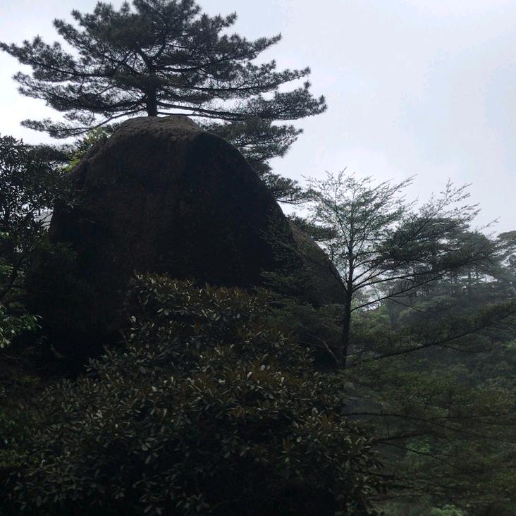 世界那么大到处去走走