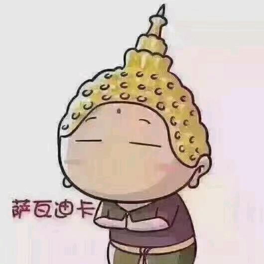 自由的朋克