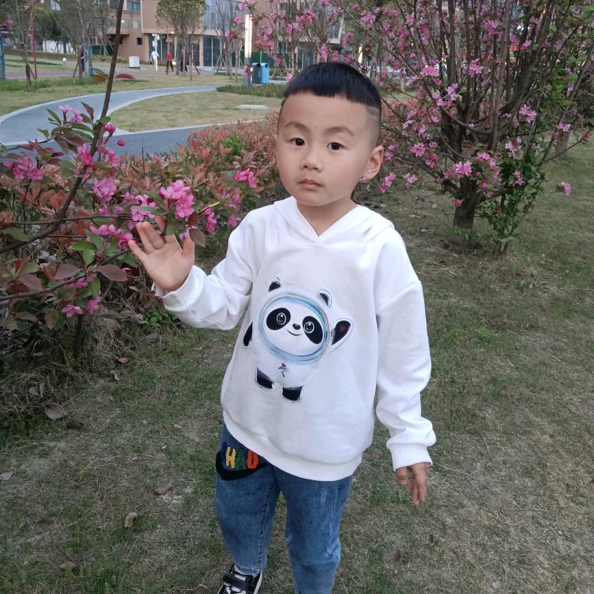 小郡肝.
