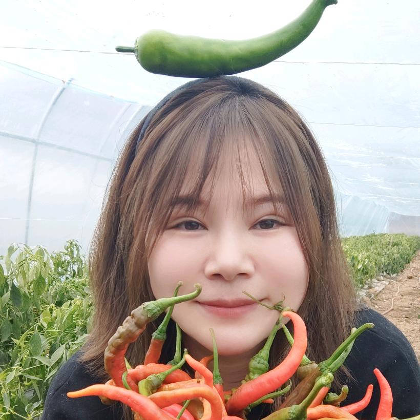 种辣椒的小敏