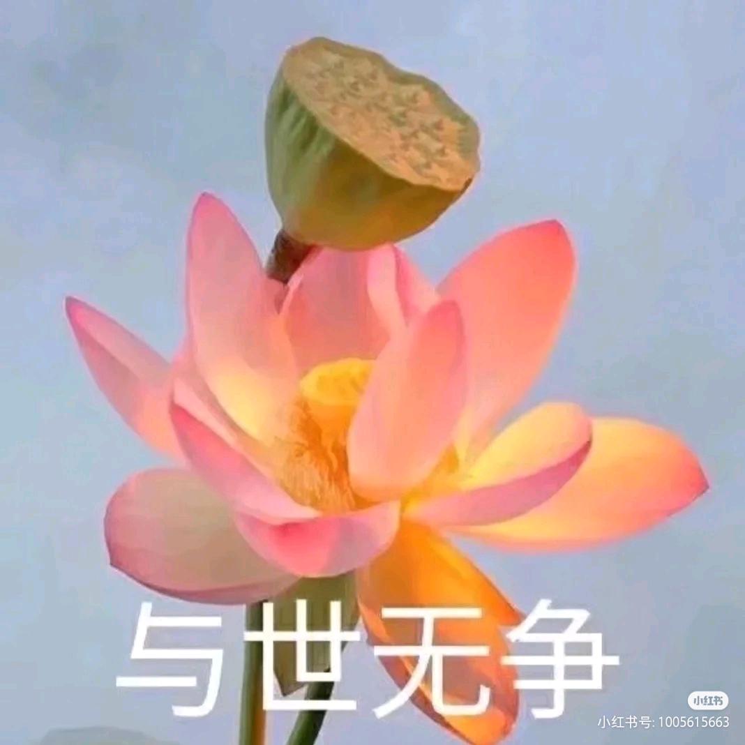小梅