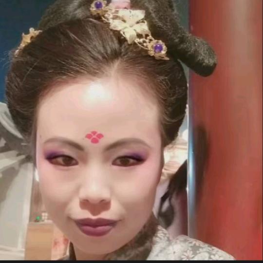田英华