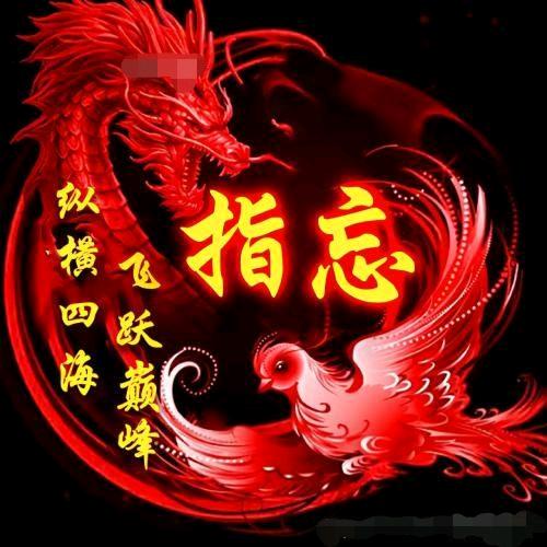 龙凤腾四海