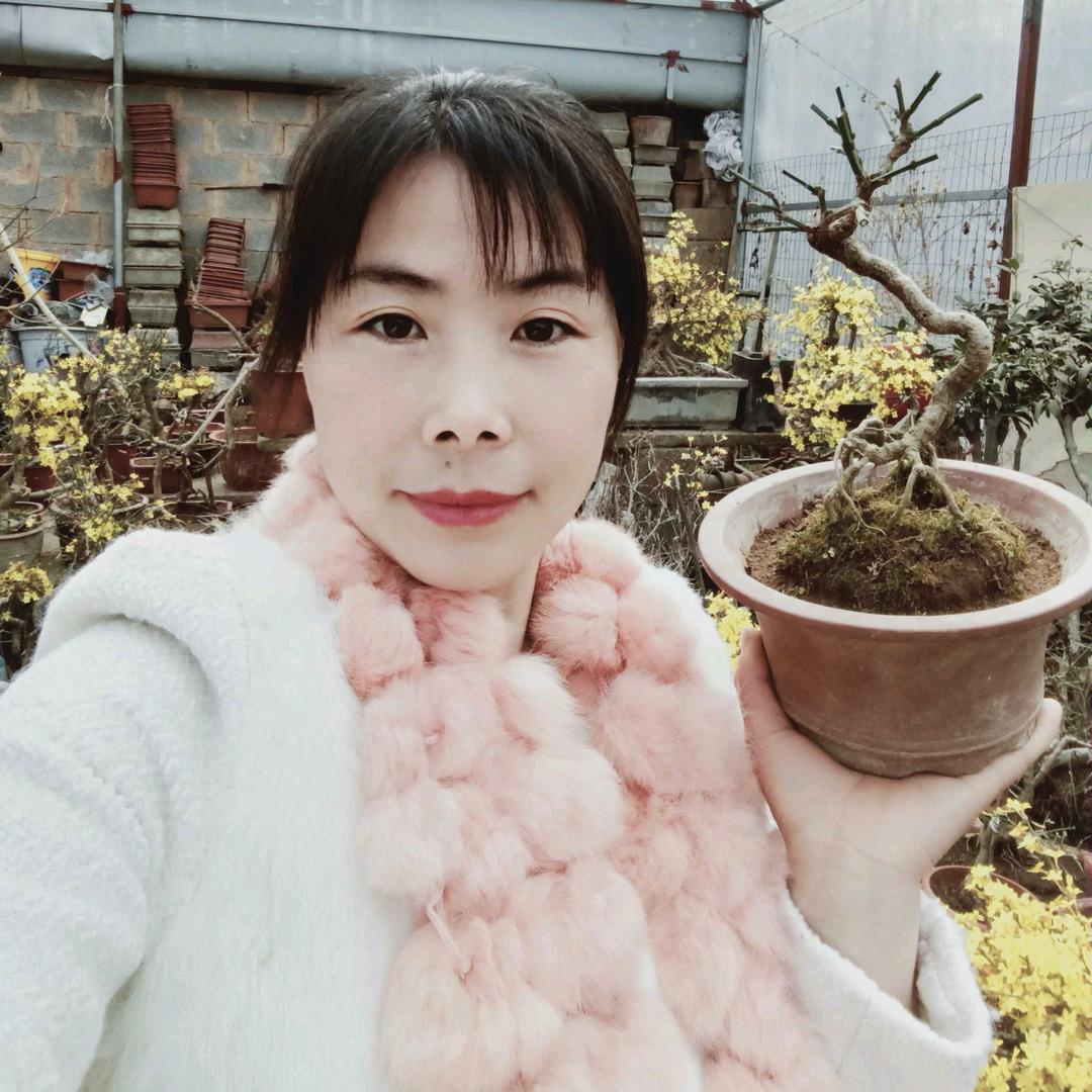 青州市花缘花卉园