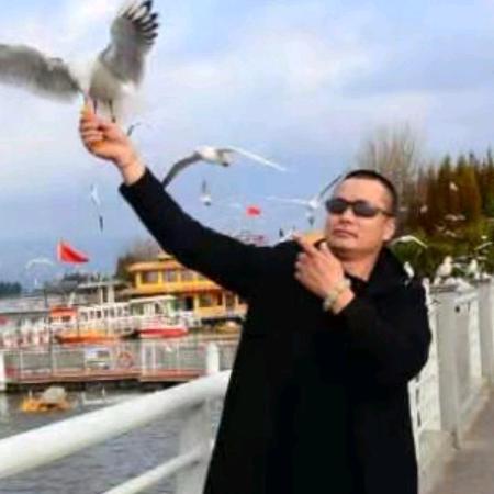 绿色家园