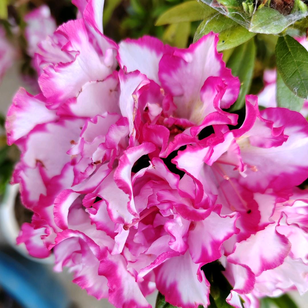 用户瑞雪5194023555903