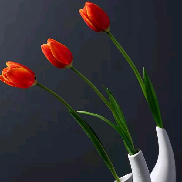 康桥佳苑@香水有毒