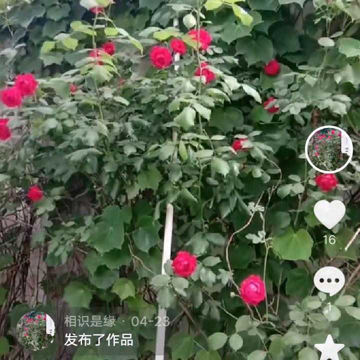 相识是缘