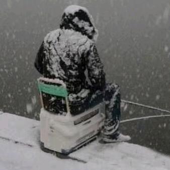 李鲸鲤红虫鱼饵