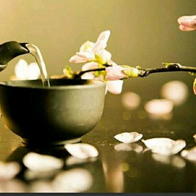 淅川房地产汤姐